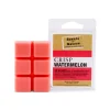 Candles & Room Fragrances-SCENTS OF NATURE SOY WAX MELTS CRISP WATERMELON