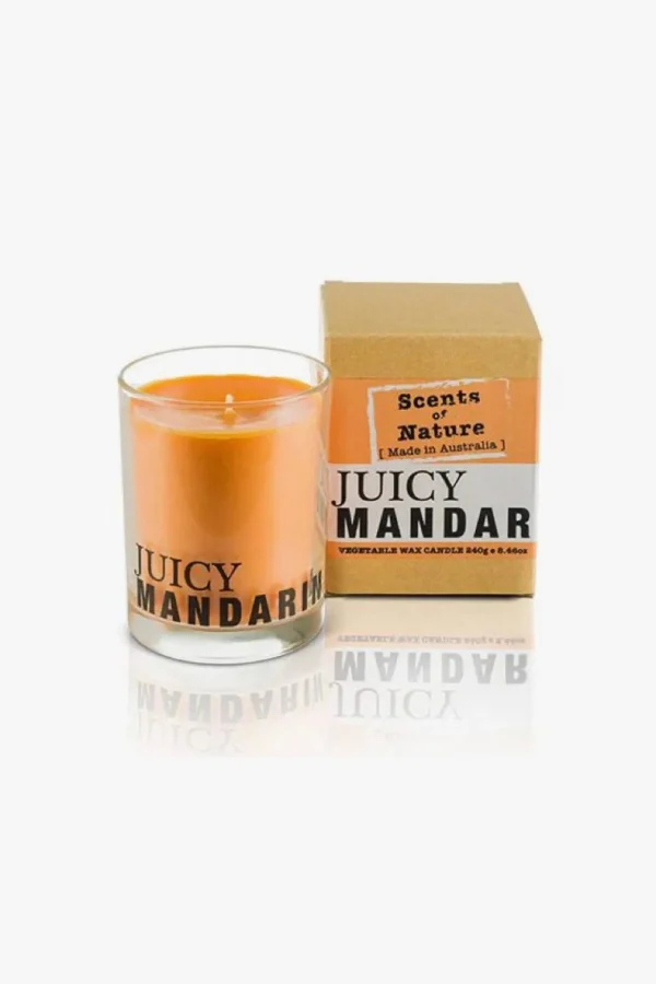 Candles & Room Fragrances-SCENTS OF NATURE SOY WAX CANDLE - JUICY MANDARIN