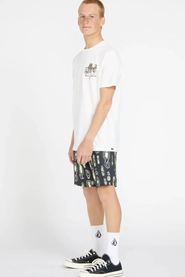 Shorts-VOLCOM SHAKEN STIRRED STONEY 19